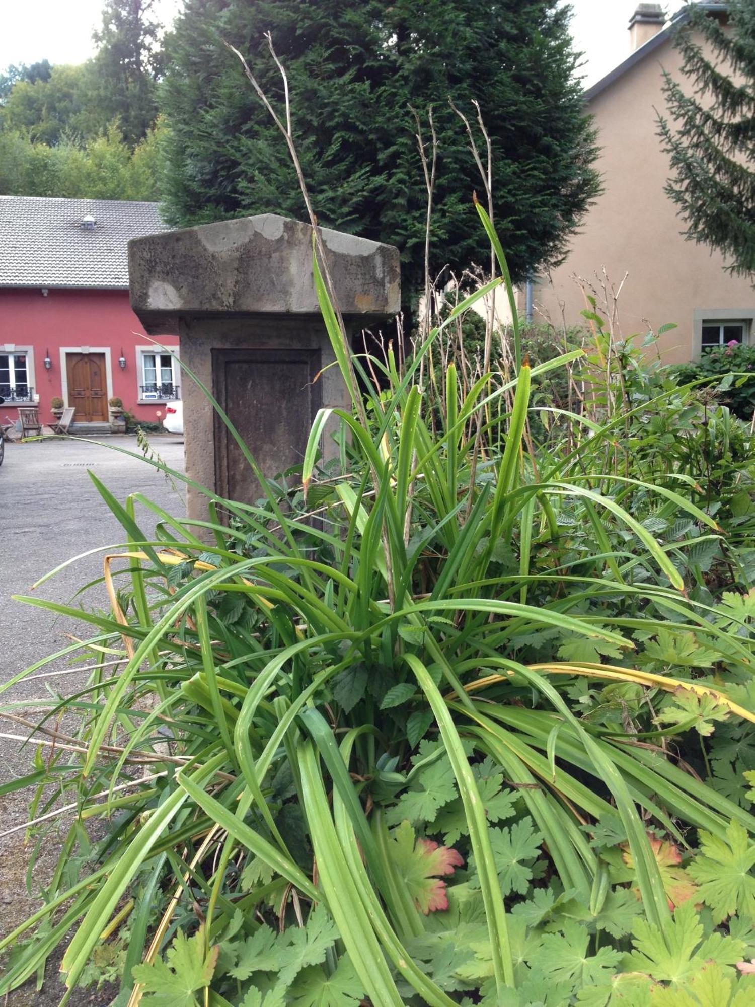 Logis Hotel Domaine Du Moulin Saint-Avold Exterior foto