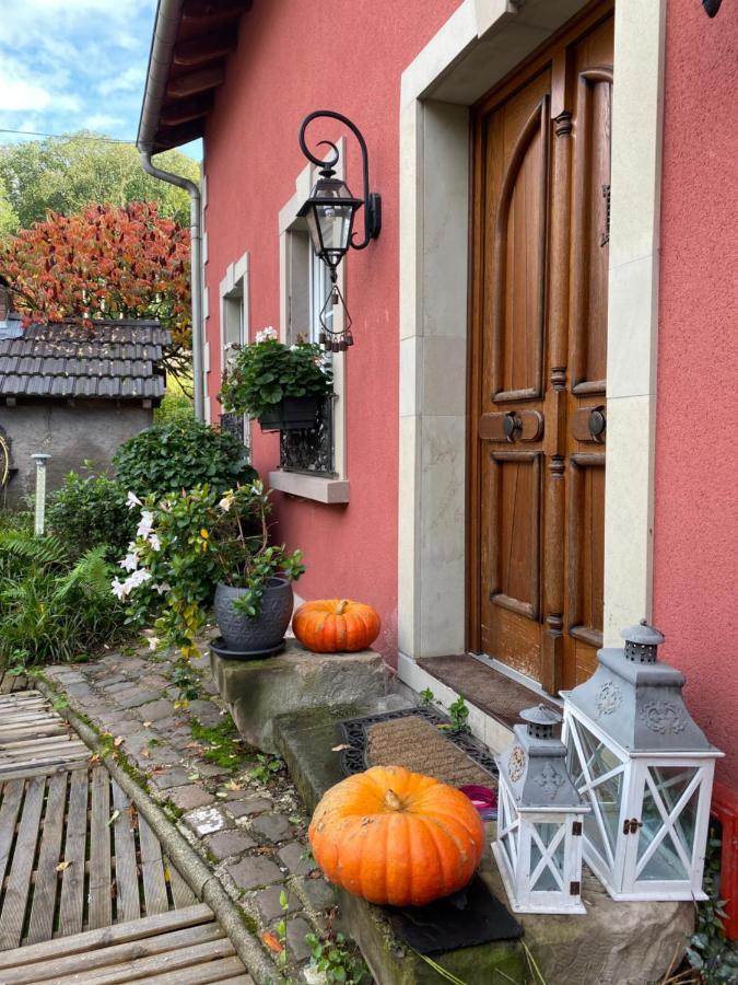 Logis Hotel Domaine Du Moulin Saint-Avold Exterior foto